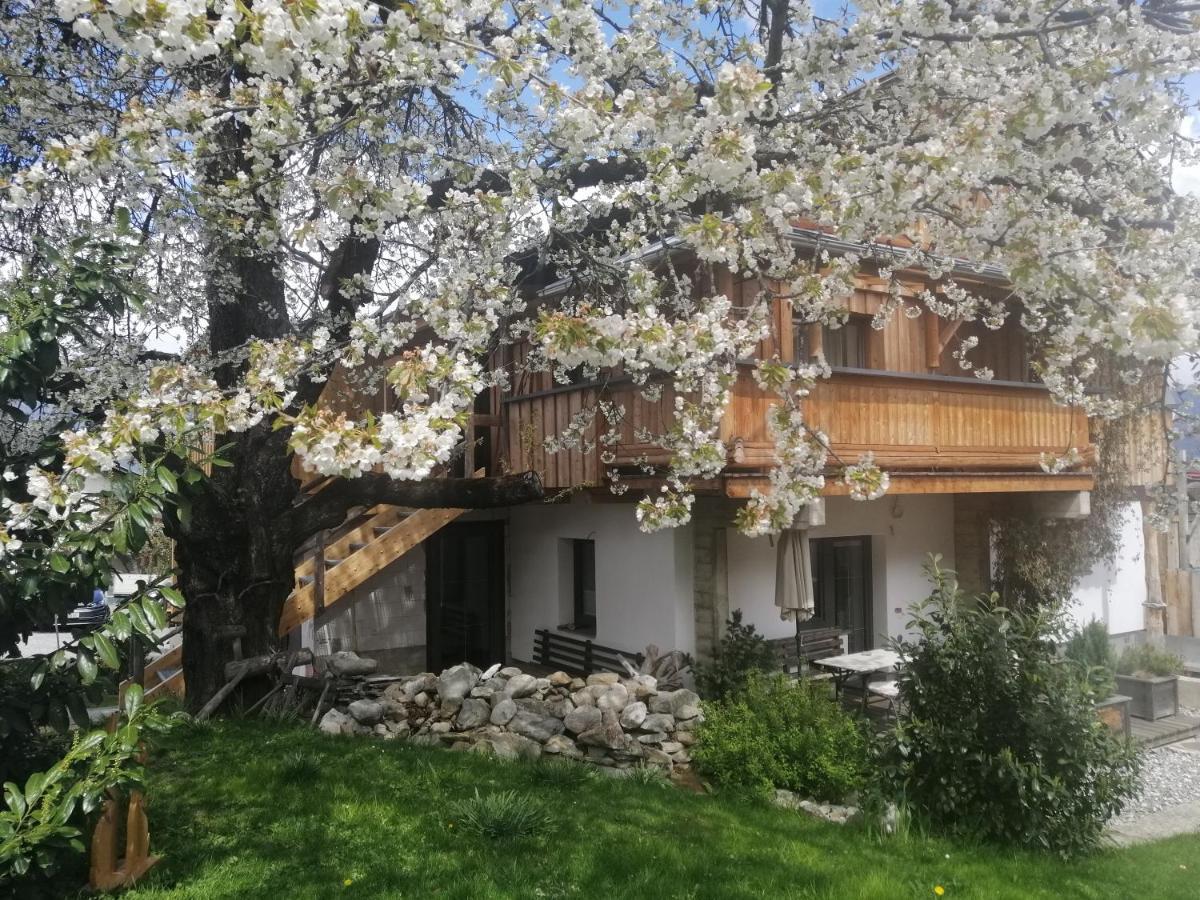 Appartement Seppi إنسبروك المظهر الخارجي الصورة