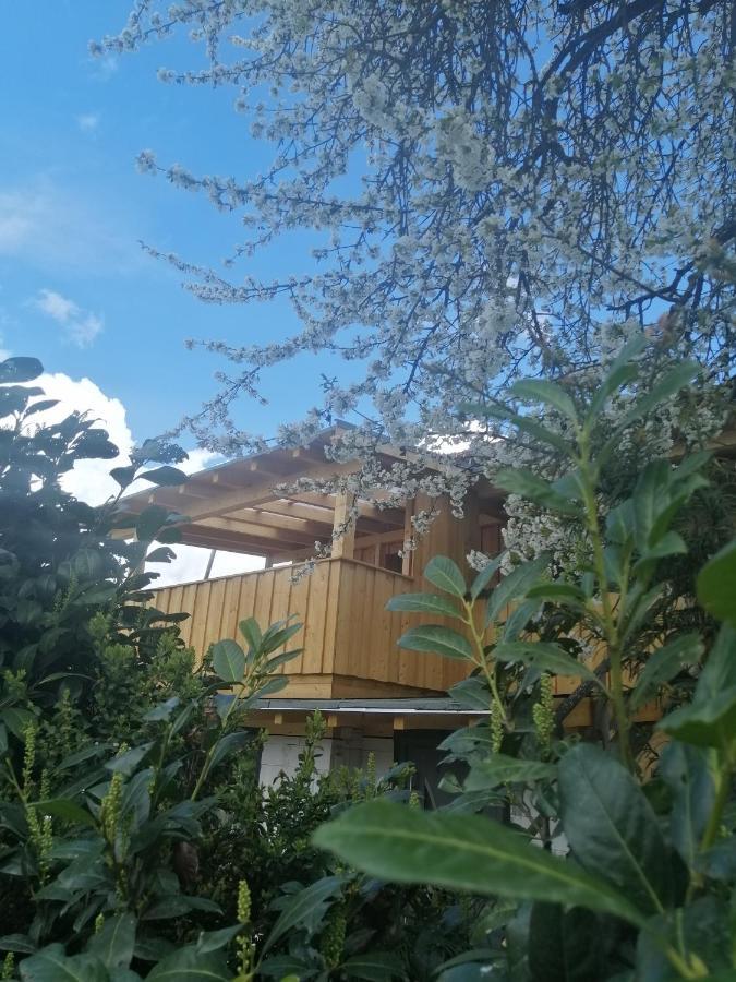 Appartement Seppi إنسبروك المظهر الخارجي الصورة