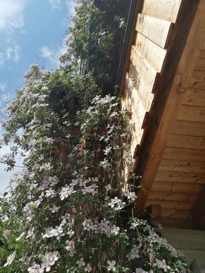 Appartement Seppi إنسبروك المظهر الخارجي الصورة